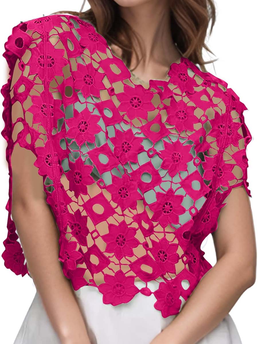 Hollow Out Floral Lace Cropped Blouse